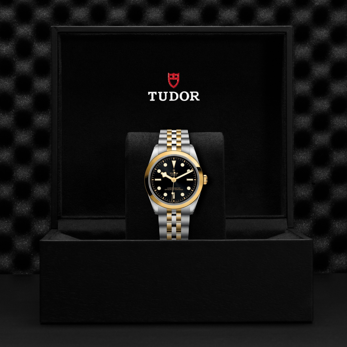 Tudor Black Bay 36 S&G — photo 5 of 5