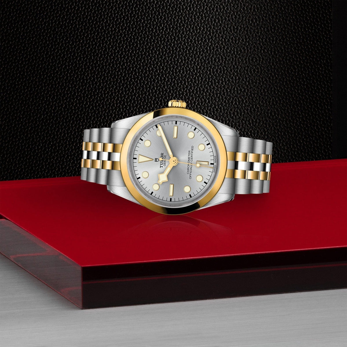 Tudor Black Bay 36 S&G — photo 4 of 5