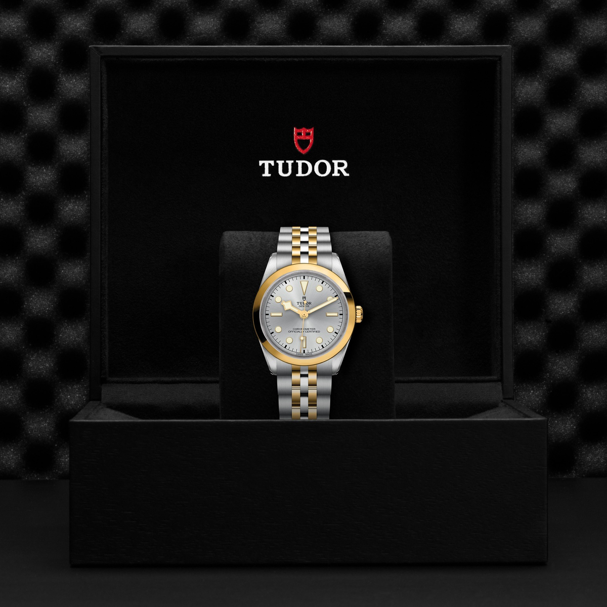 Tudor Black Bay 36 S&G — photo 5 of 5