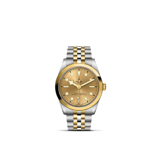Tudor Black Bay 36 S&G — photo 1 of 5