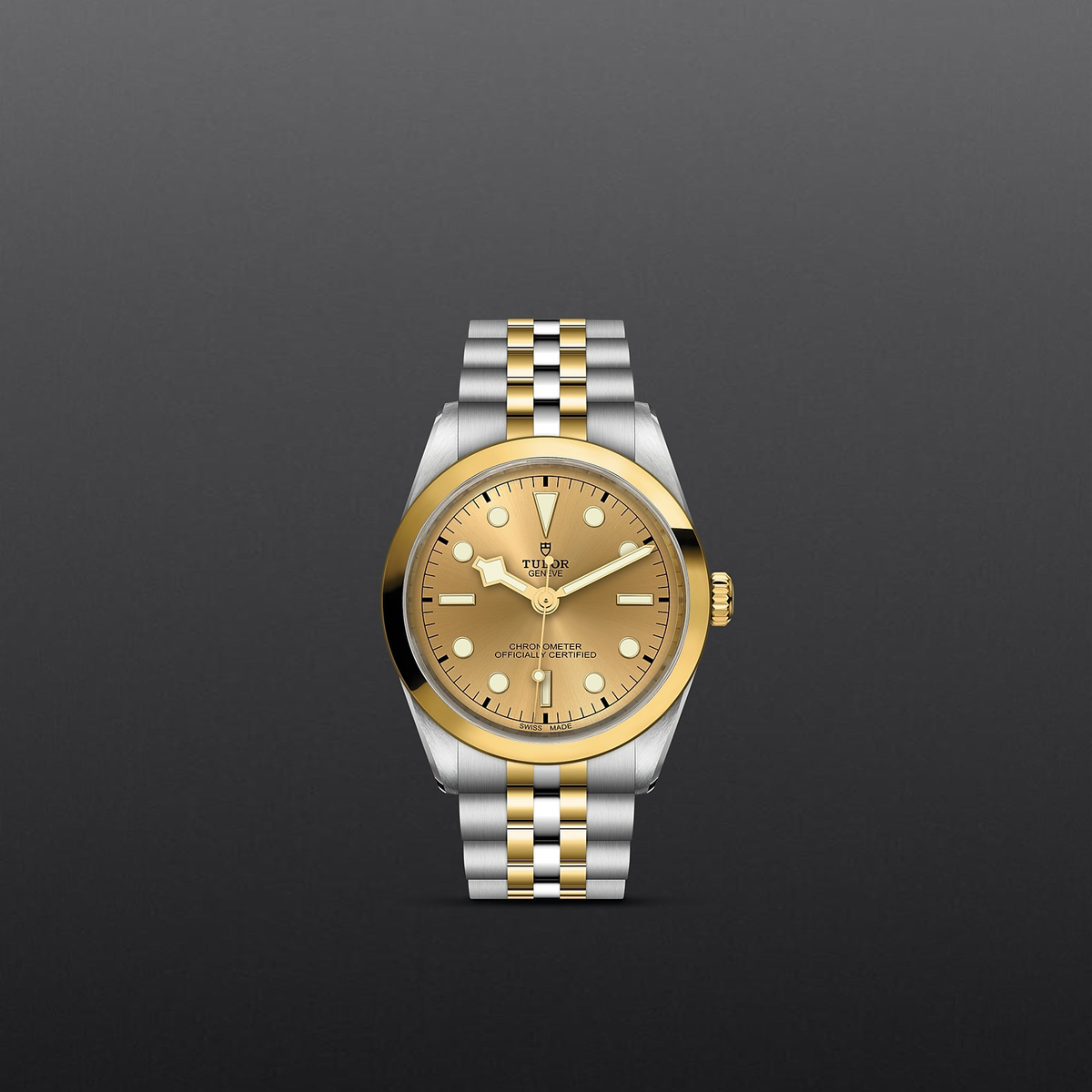 Tudor Black Bay 36 S&G — photo 2 of 5