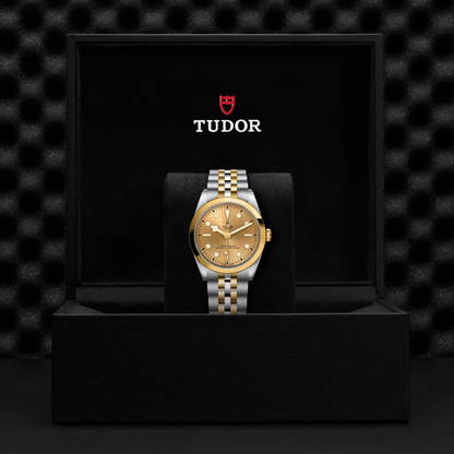 Tudor Black Bay 36 S&G — photo 5 of 5