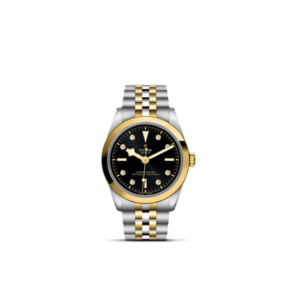 Tudor Black Bay 36 S&G — photo 1 of 5