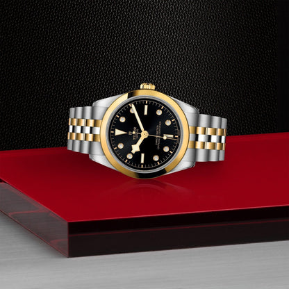 Tudor Black Bay 36 S&G — photo 4 of 5