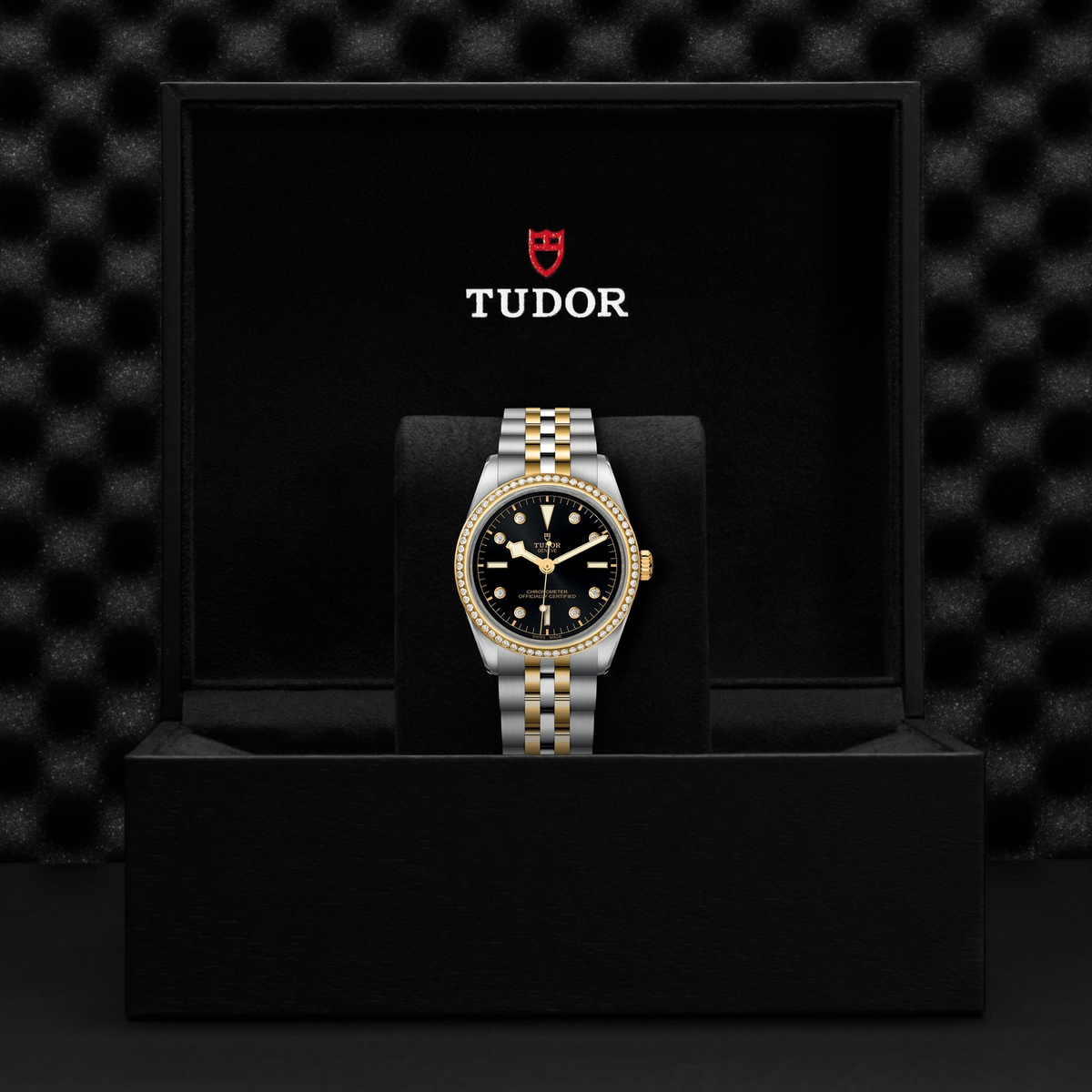 Tudor Black Bay 36 S&G — photo 5 of 5