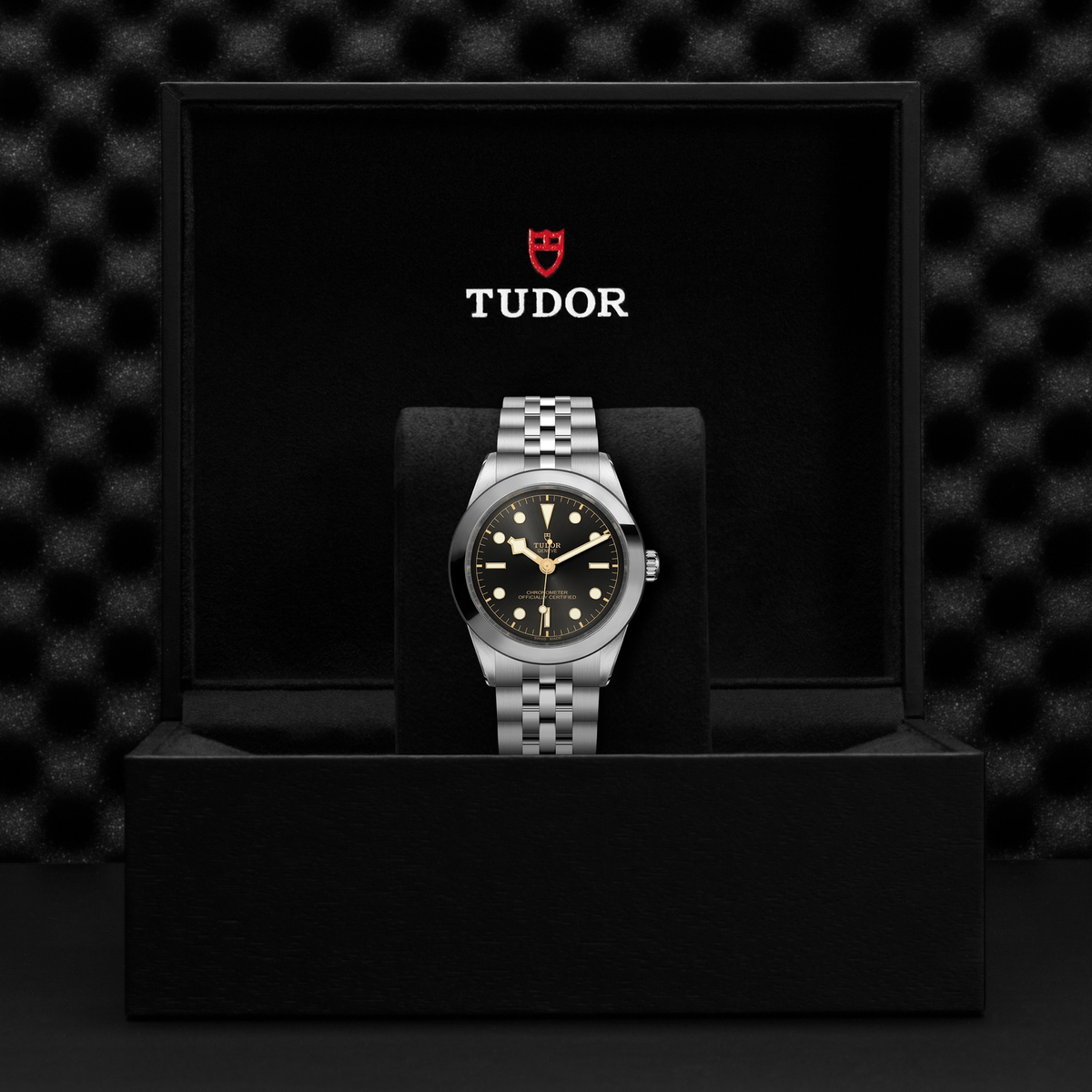 Tudor Black Bay 39 — photo 5 of 5