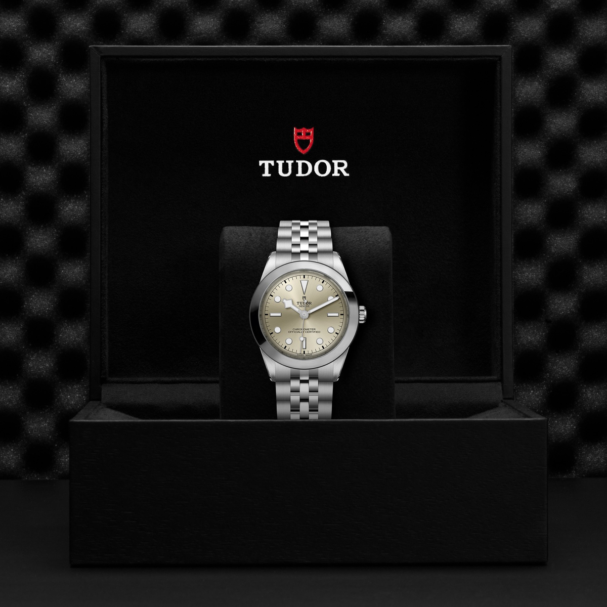 Tudor Black Bay 39 — photo 5 of 5