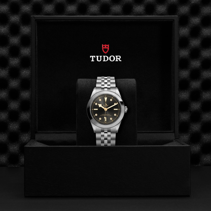 Tudor Black Bay 39 — photo 5 of 5