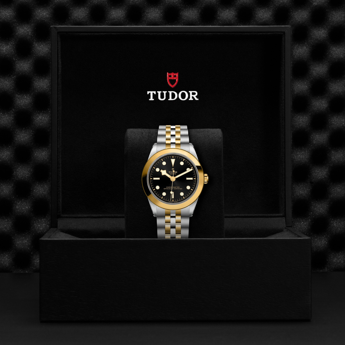 Tudor Black Bay 39 S&G — photo 5 of 5