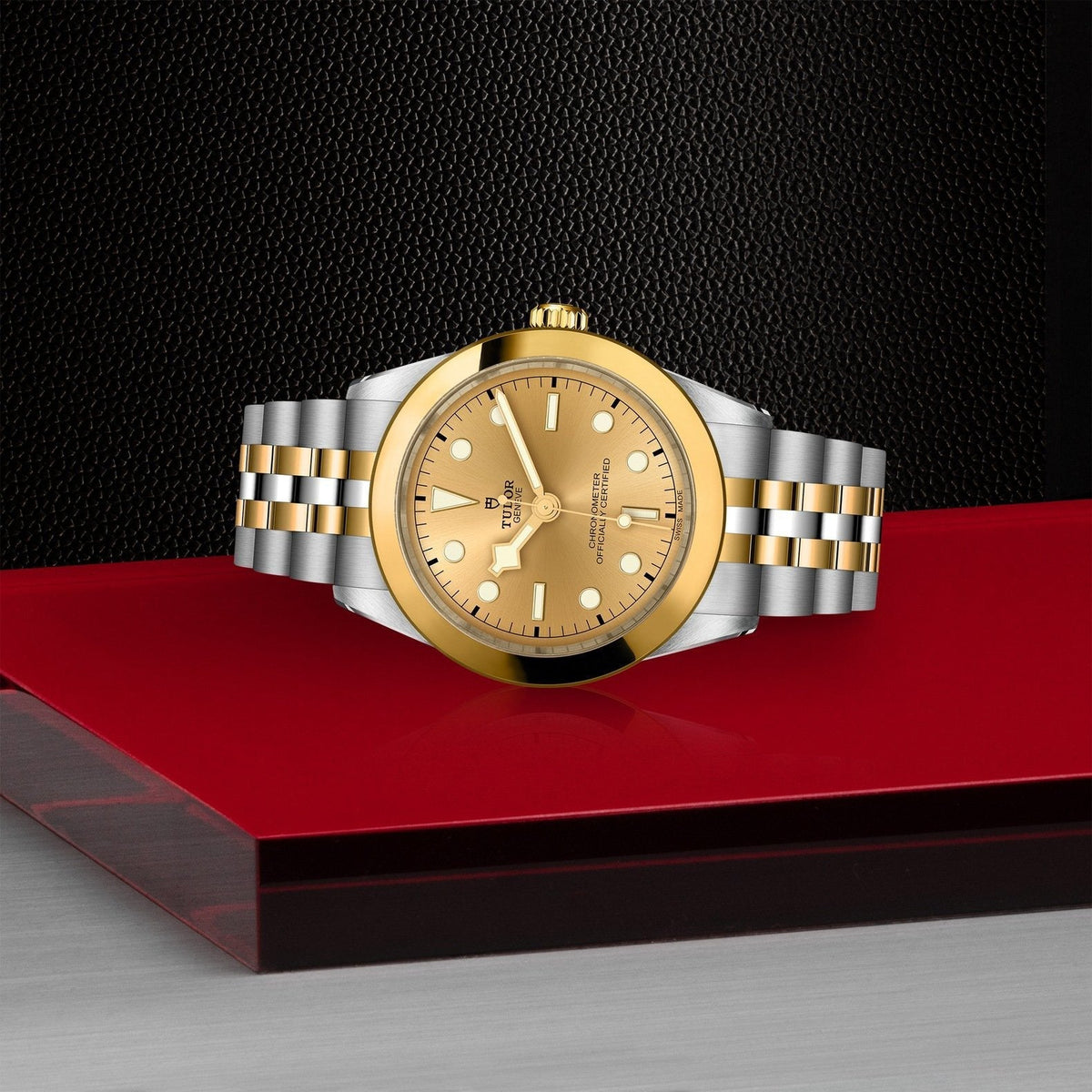 Tudor Black Bay 39 S&G — photo 4 of 5