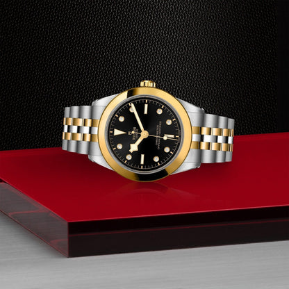 Tudor Black Bay 39 S&G — photo 4 of 5