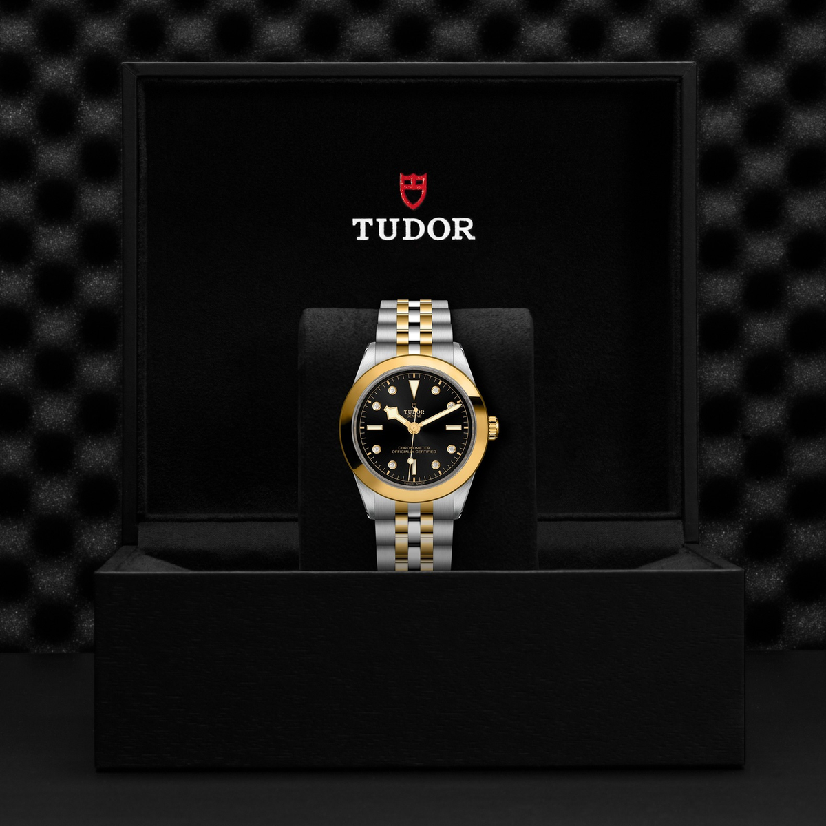 Tudor Black Bay 39 S&G — photo 5 of 5