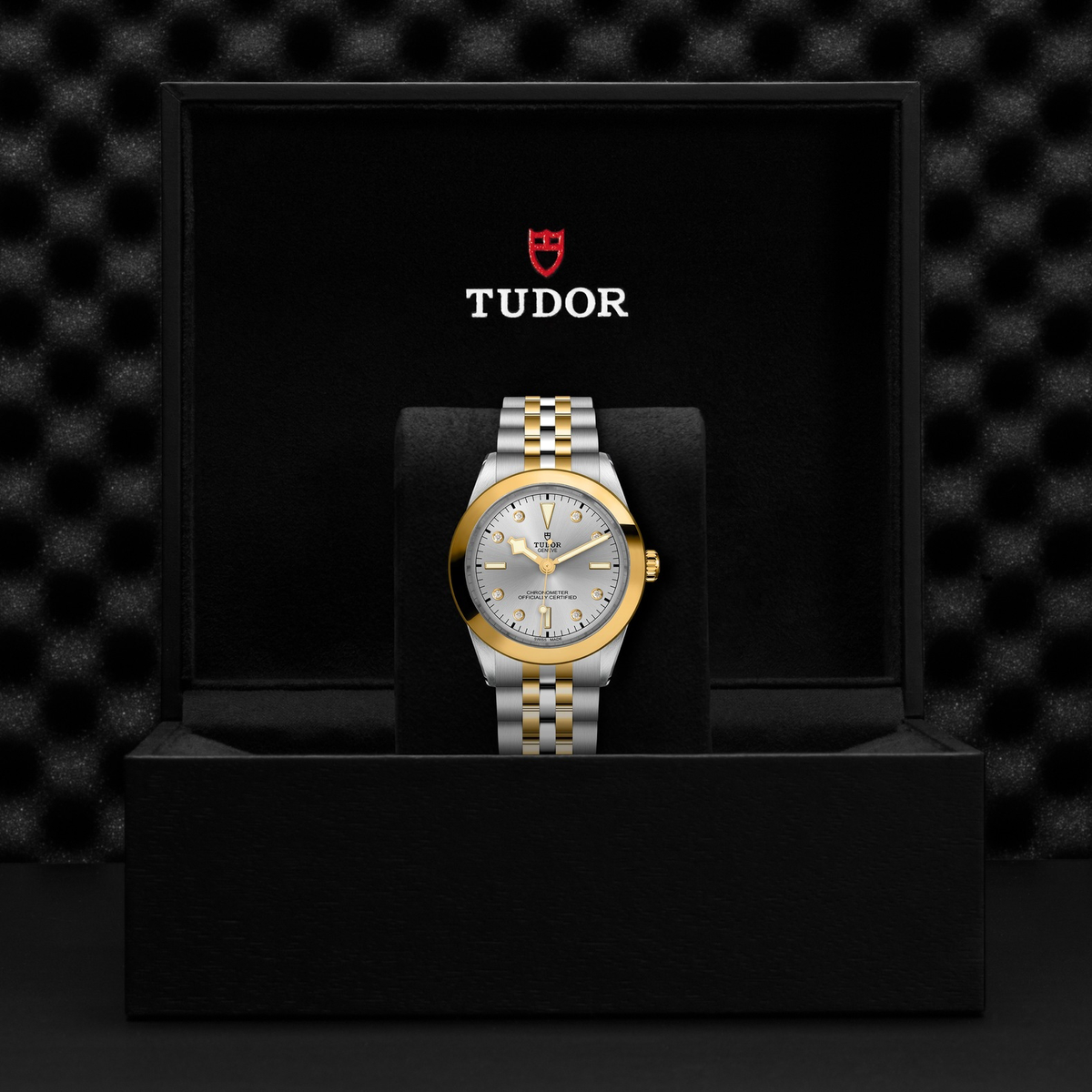 Tudor Black Bay 39 S&G — photo 5 of 5