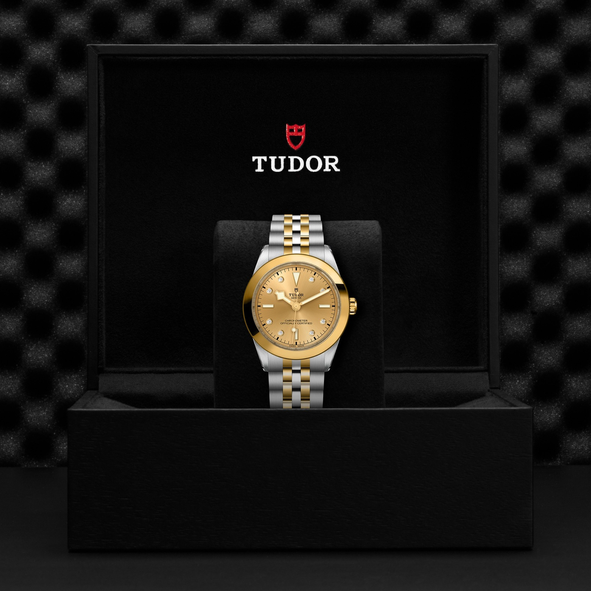 Tudor Black Bay 39 S&G — photo 5 of 5