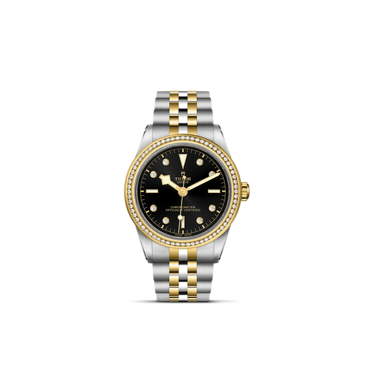Tudor Black Bay 39 S&G — photo 1 of 5