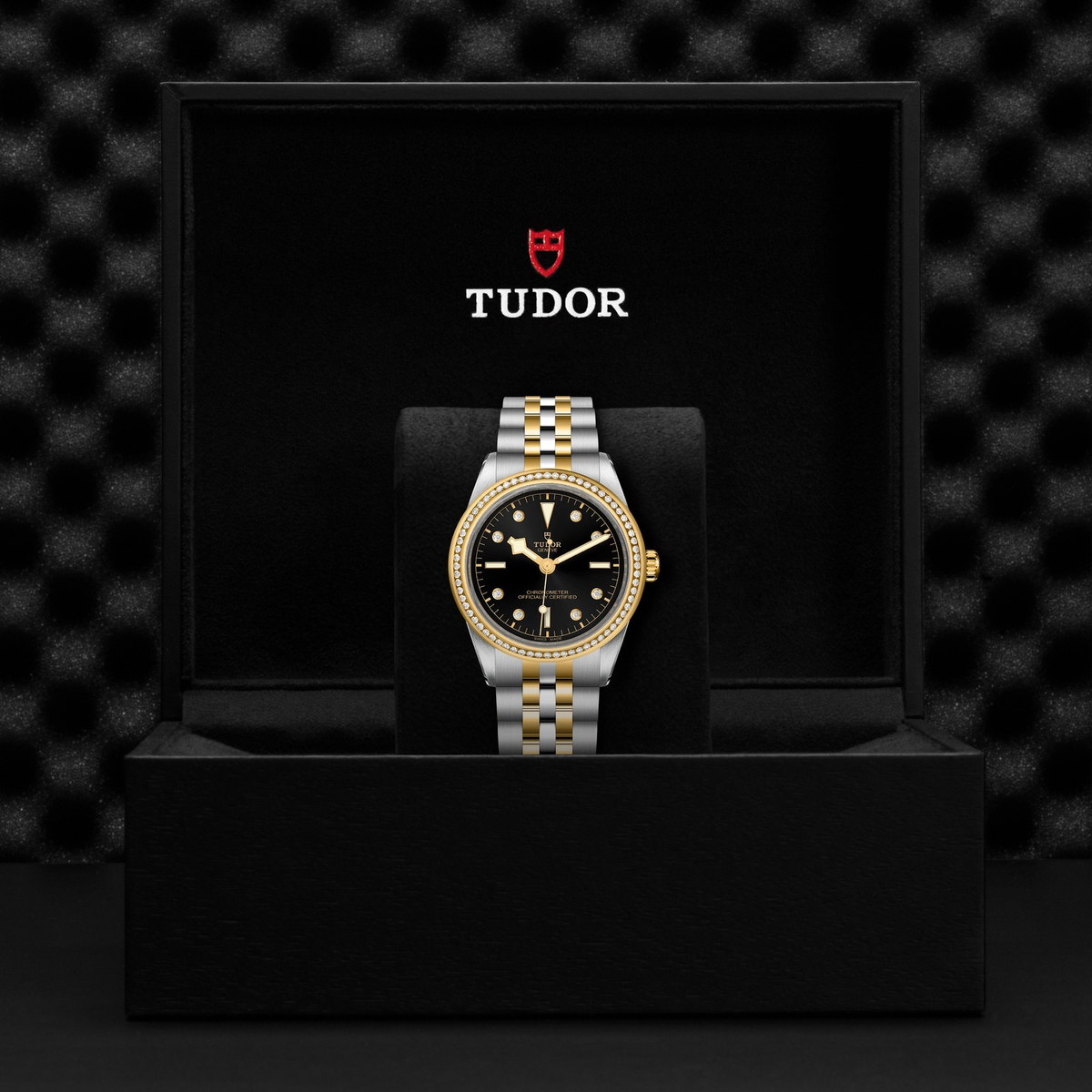 Tudor Black Bay 39 S&G — photo 5 of 5