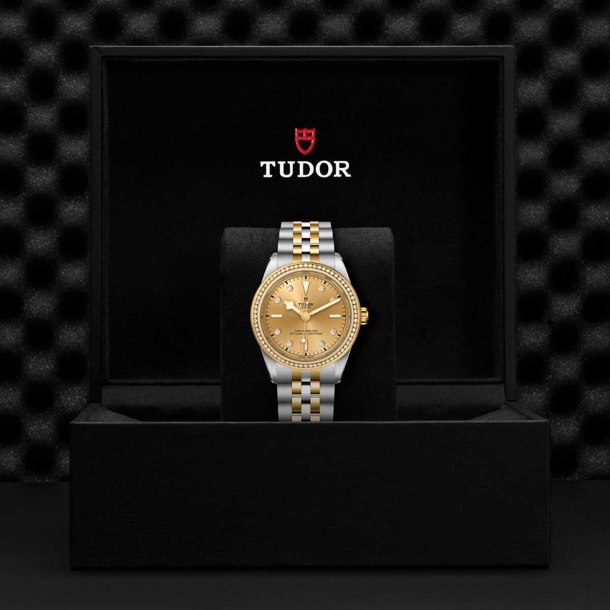 Tudor Black Bay 39 S&G — photo 5 of 5