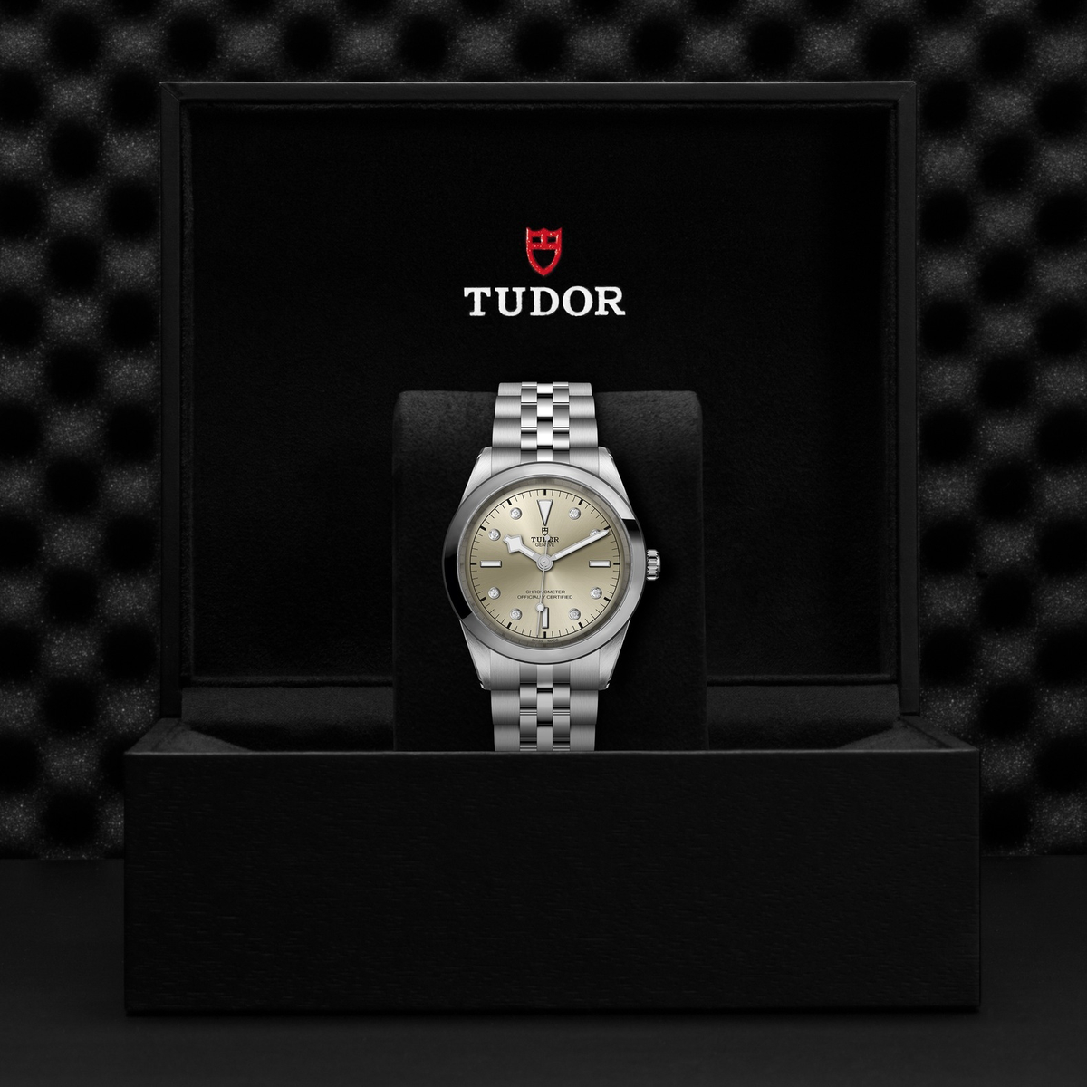 Tudor Black Bay 41 — photo 5 of 5