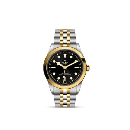 Tudor Black Bay 41 S&G — photo 1 of 5