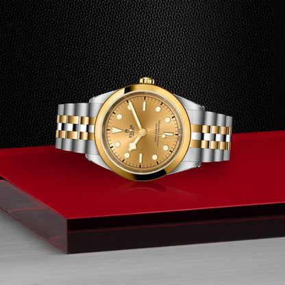 Tudor Black Bay 41 S&G — photo 4 of 5