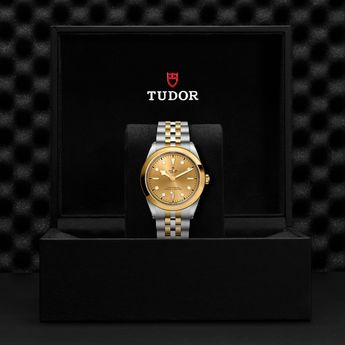 Tudor Black Bay 41 S&G — photo 5 of 5