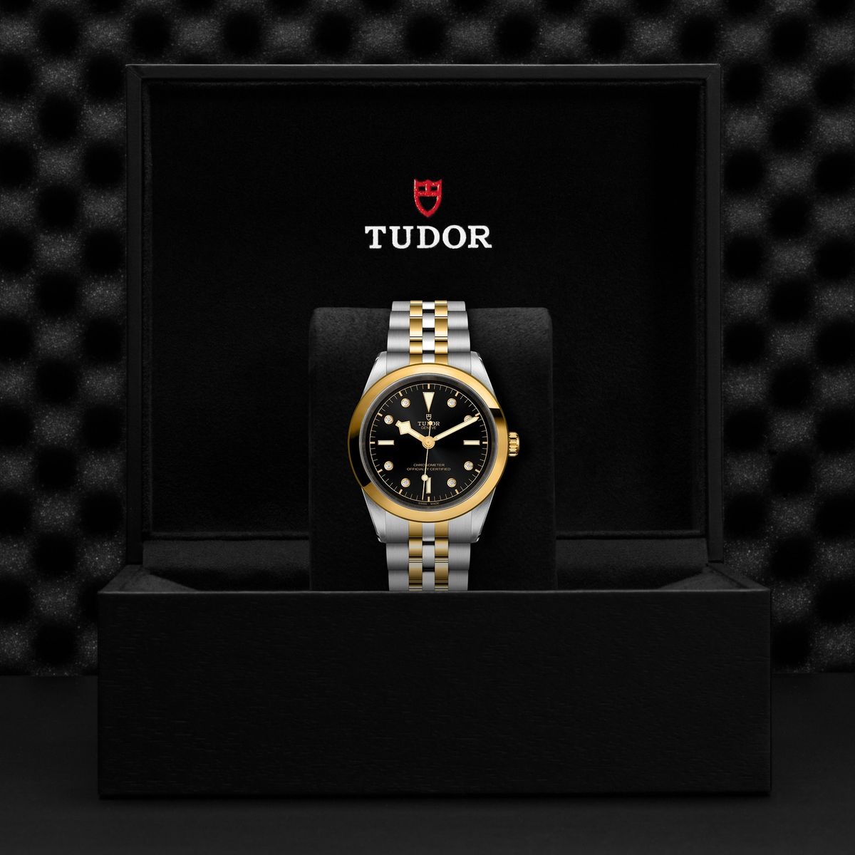 Tudor Black Bay 41 S&G — photo 5 of 5