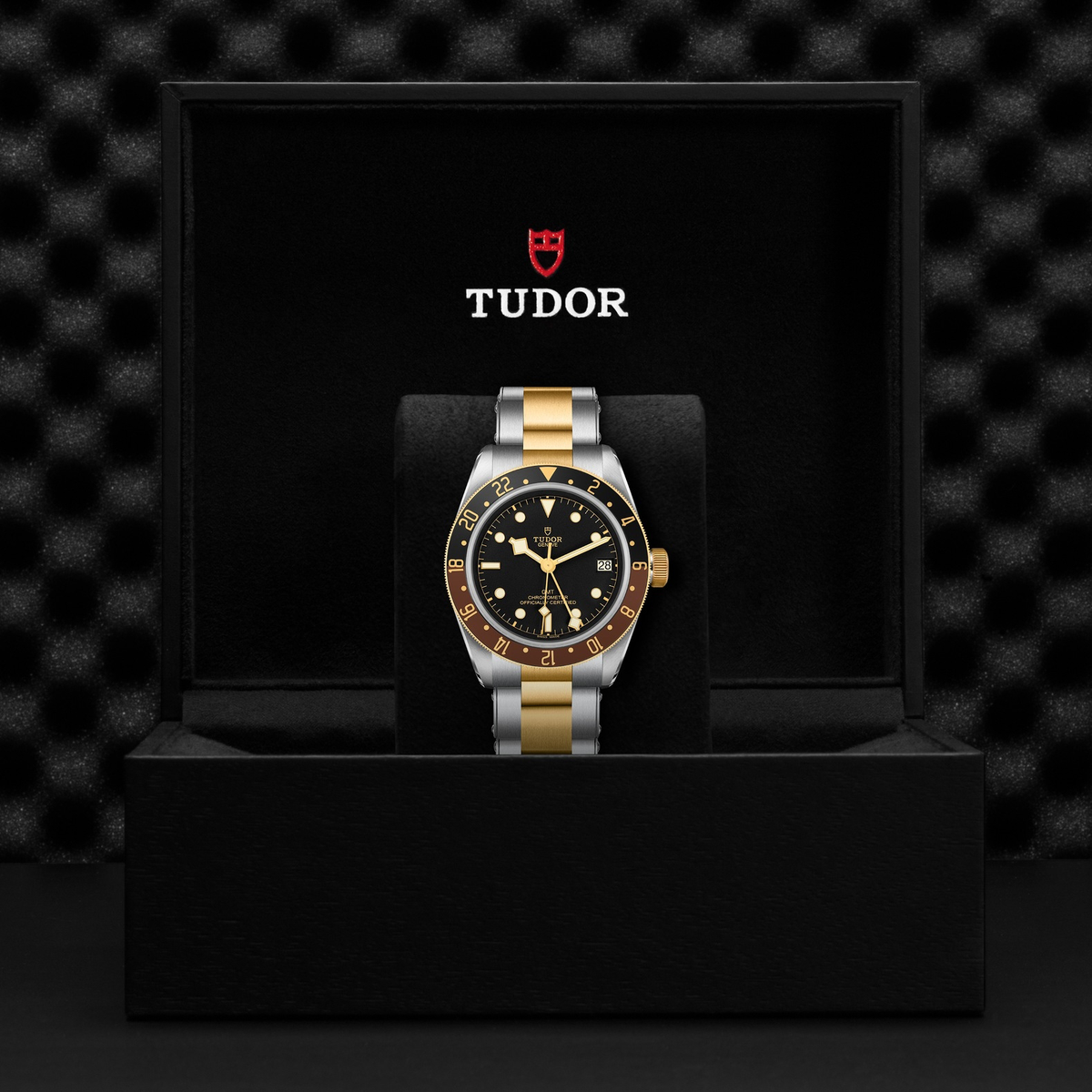 Tudor Black Bay GMT S&G — photo 5 of 5