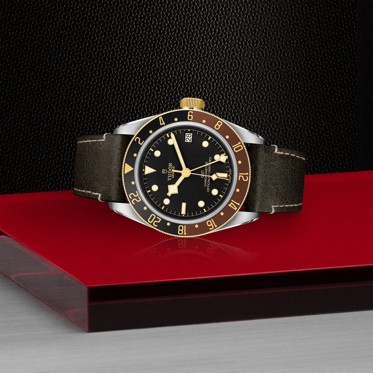 Tudor Black Bay GMT S&G — photo 4 of 5