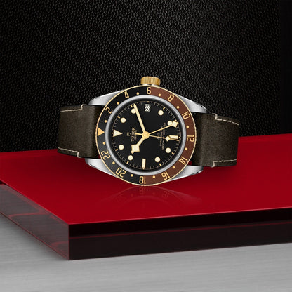 Tudor Black Bay GMT S&G — photo 4 of 5