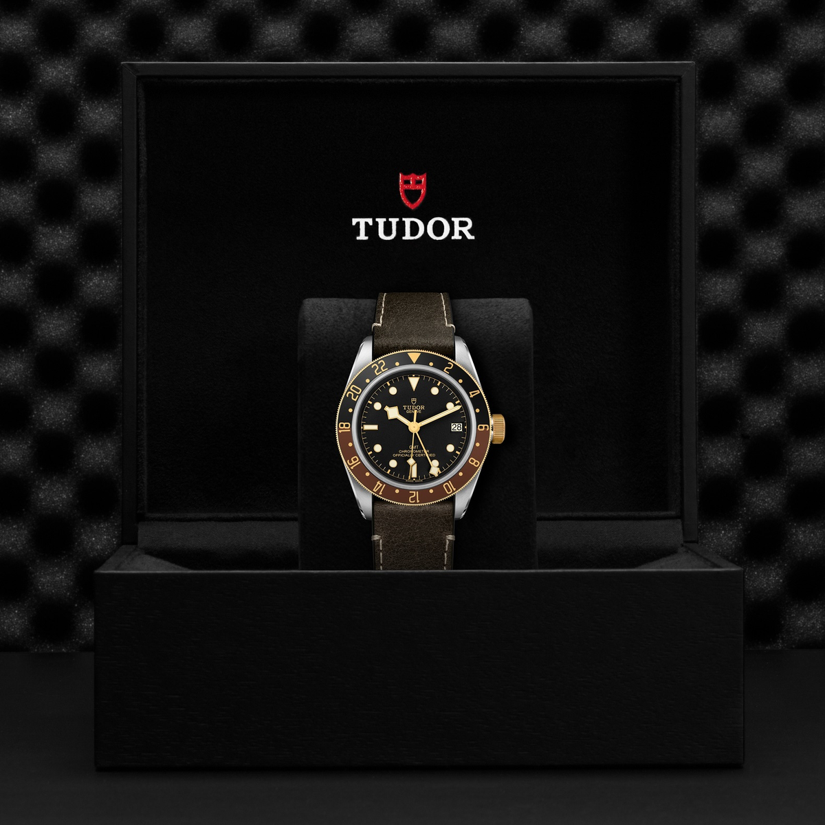 Tudor Black Bay GMT S&G — photo 5 of 5