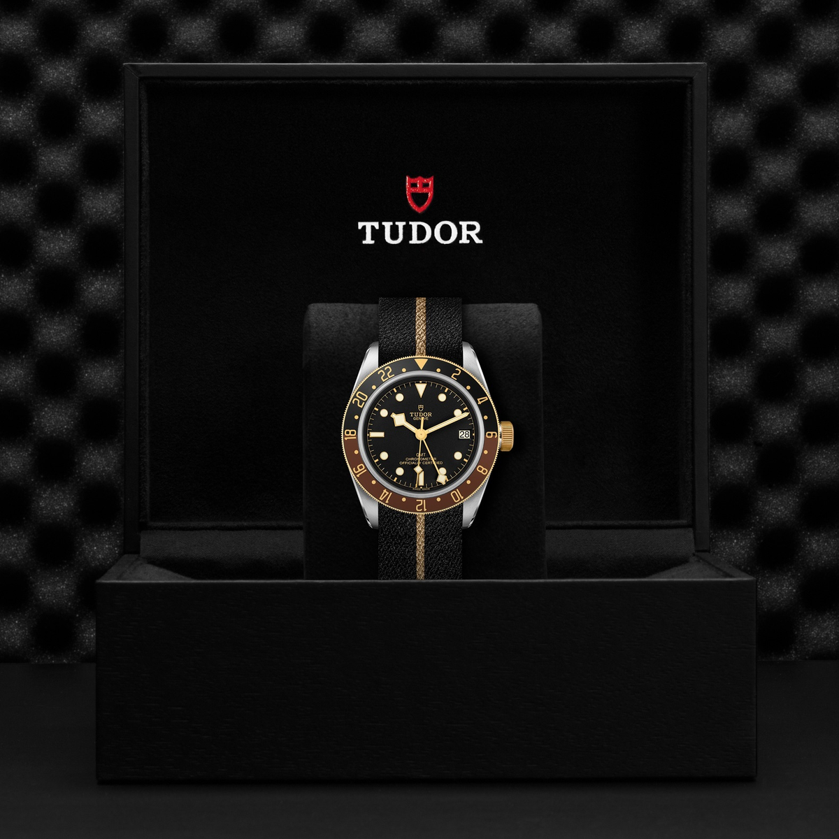 Tudor Black Bay GMT S&G — photo 5 of 5
