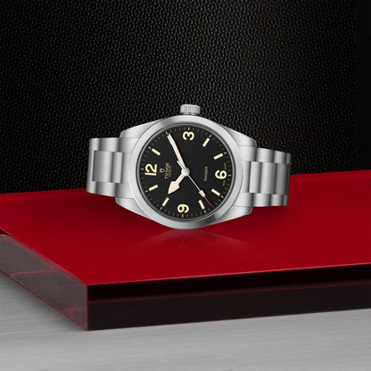 Tudor Ranger — photo 4 of 5