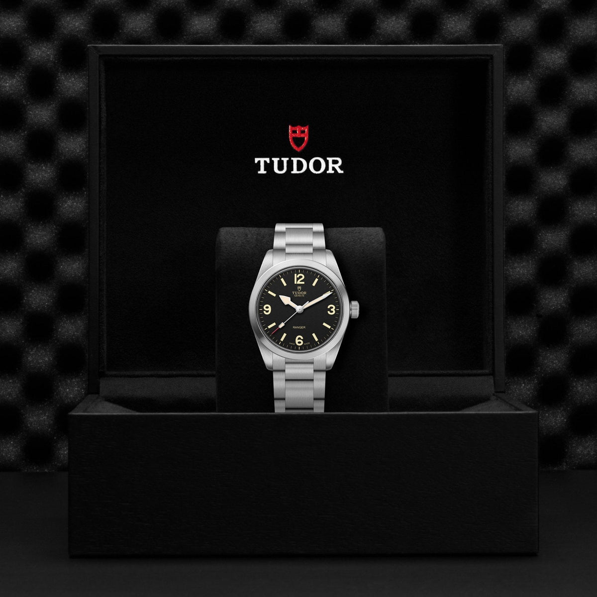 Tudor Ranger — photo 5 of 5