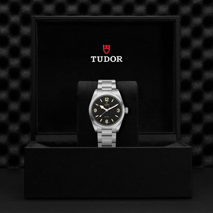 Tudor Ranger — photo 5 of 5