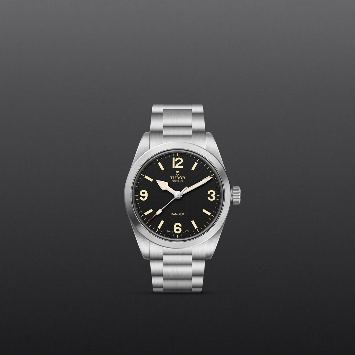 Tudor Ranger — photo 2 of 5