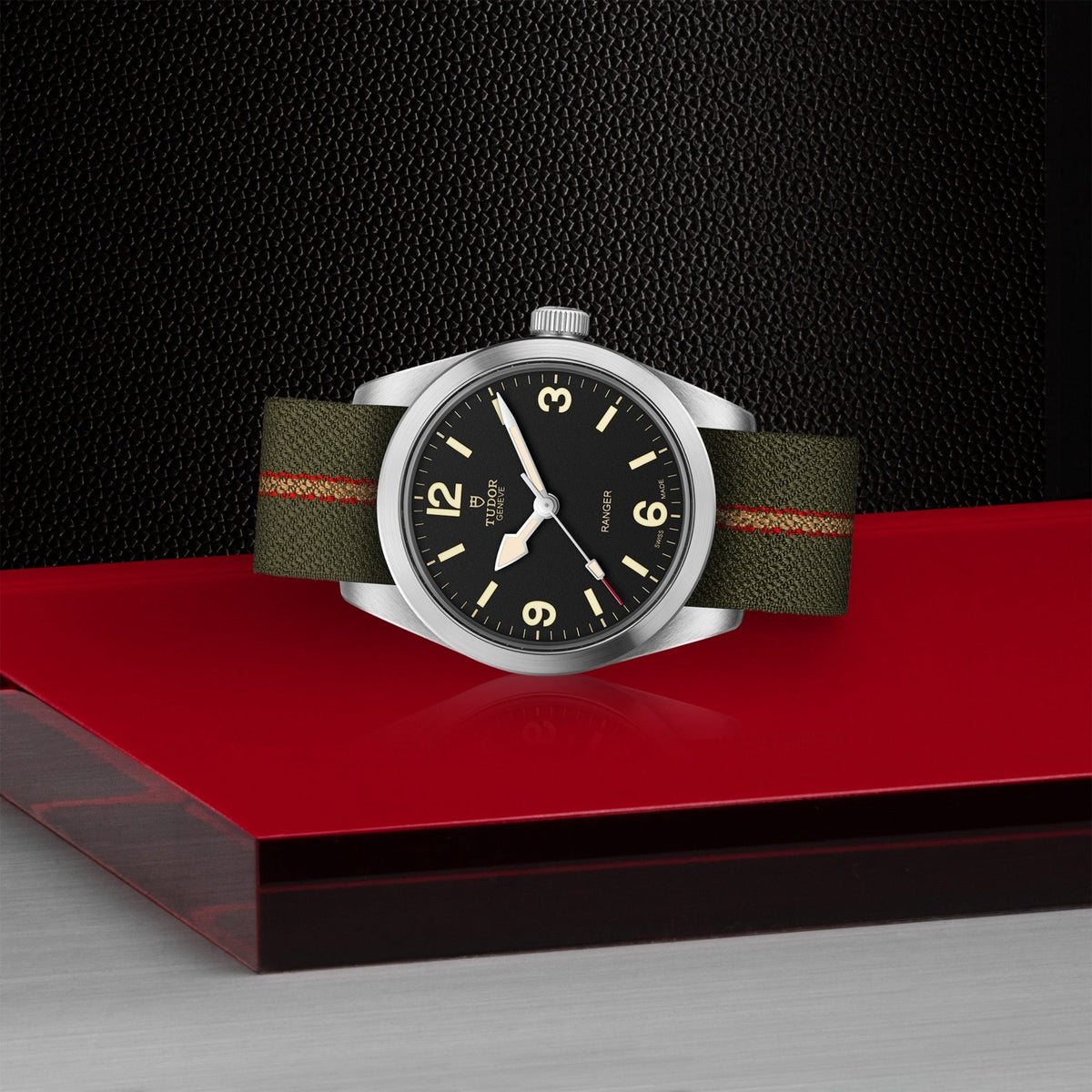 Tudor Ranger — photo 4 of 5