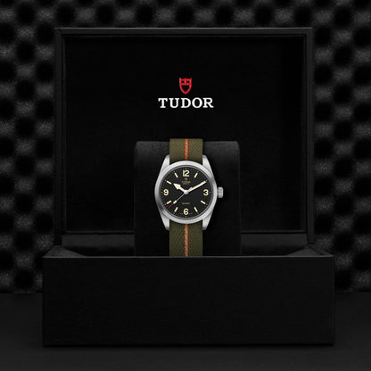 Tudor Ranger — photo 5 of 5
