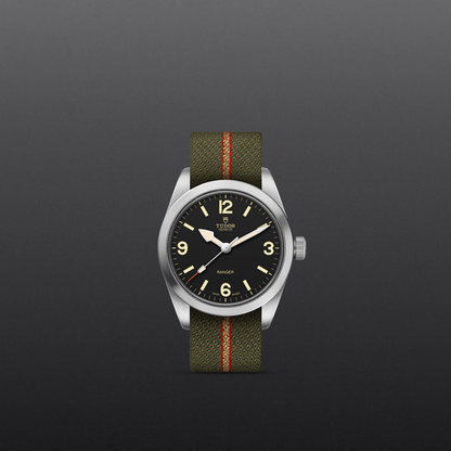 Tudor Ranger — photo 2 of 5
