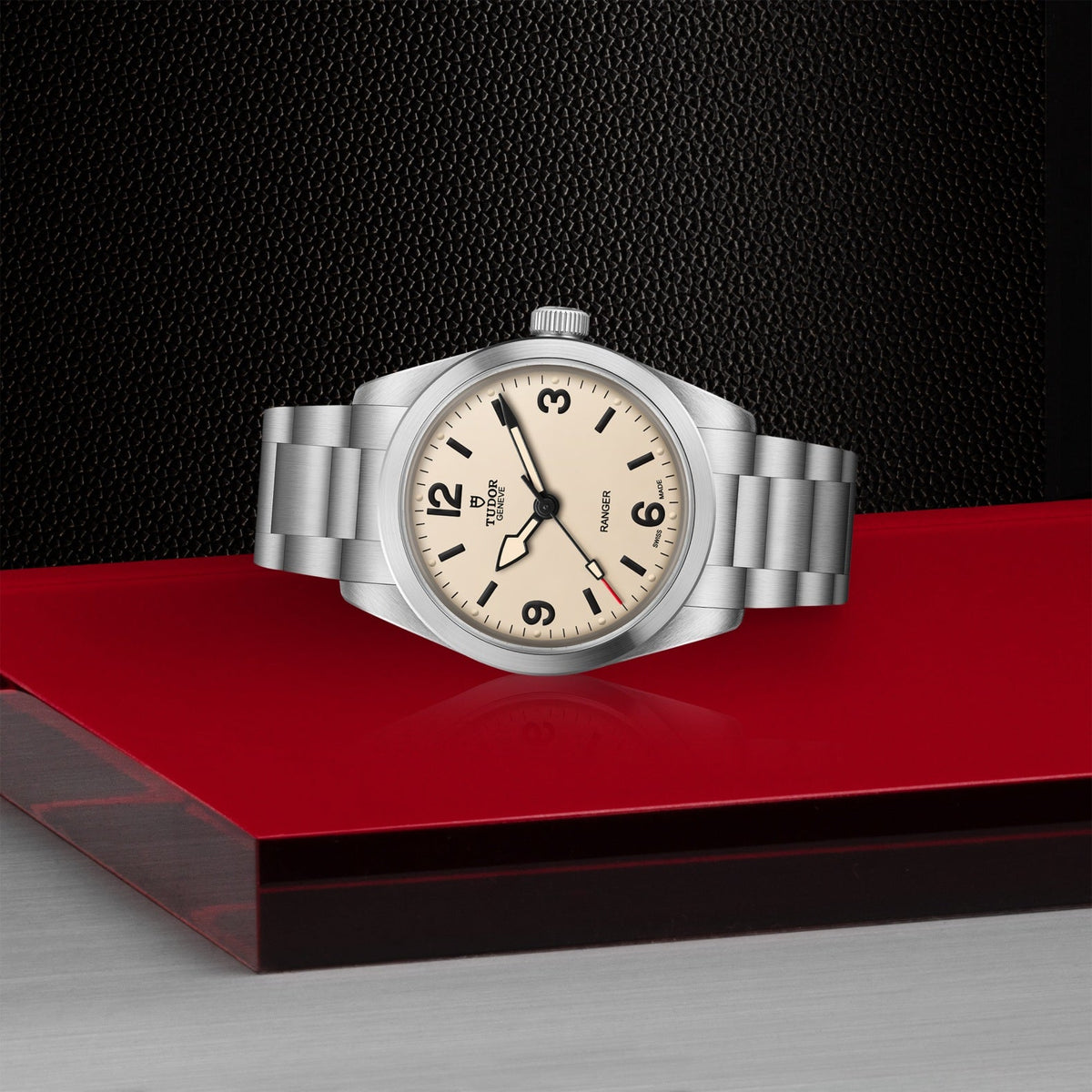 Tudor Ranger — photo 4 of 5