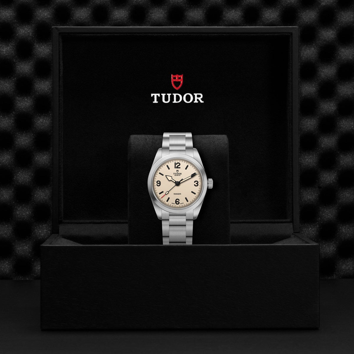 Tudor Ranger — photo 5 of 5