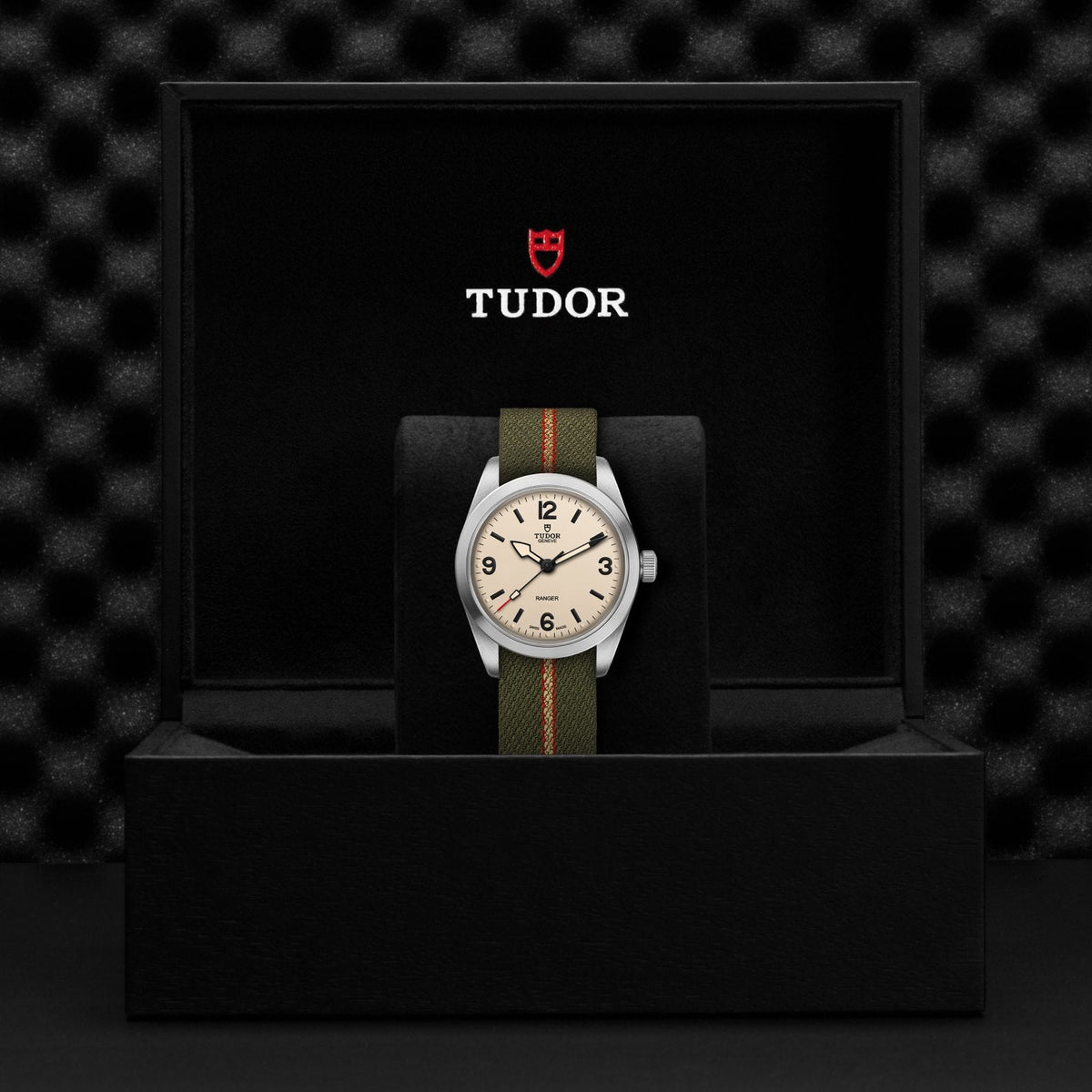 Tudor Ranger — photo 5 of 5