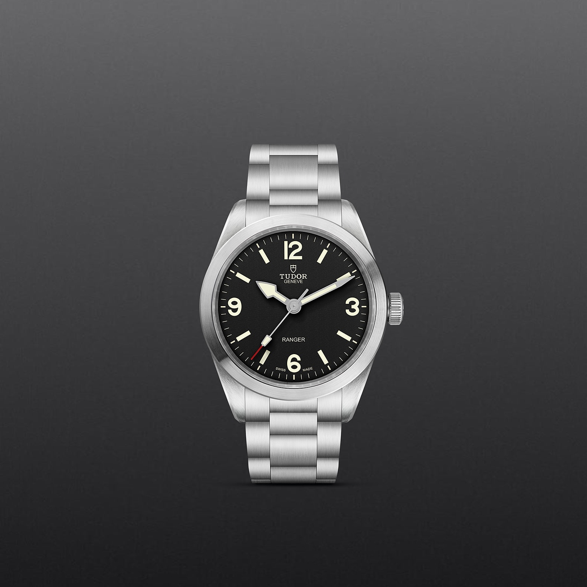 Tudor Ranger — photo 2 of 5