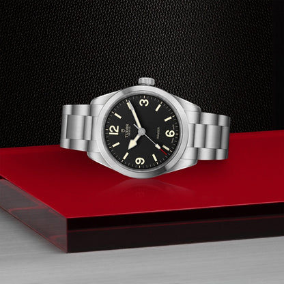 Tudor Ranger — photo 4 of 5