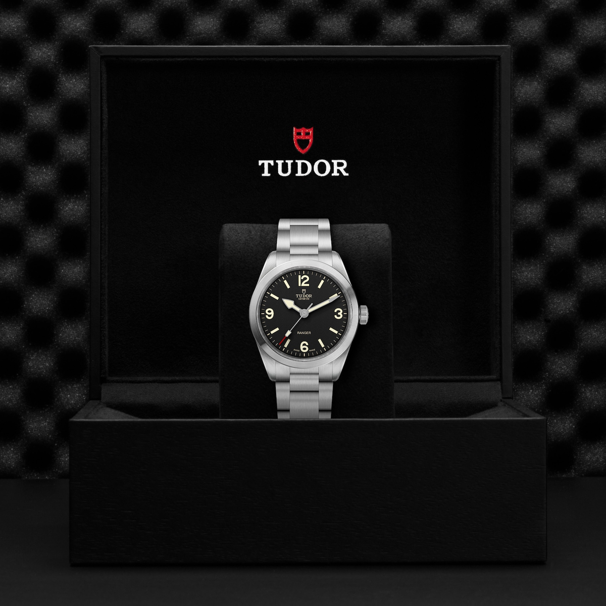 Tudor Ranger — photo 5 of 5
