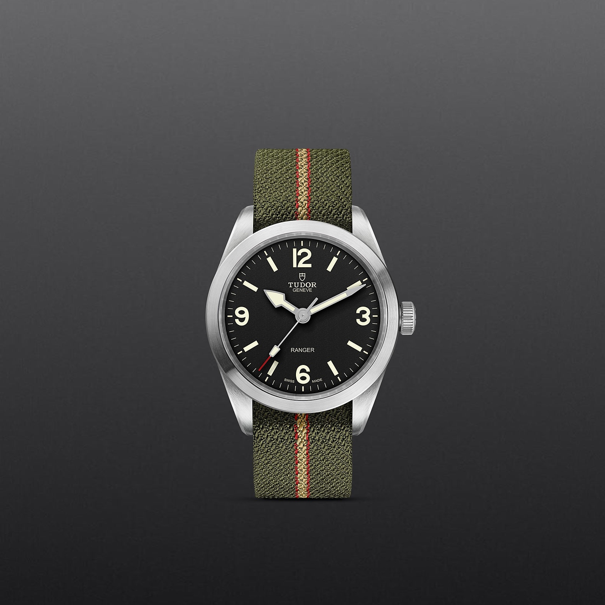 Tudor Ranger — photo 2 of 5