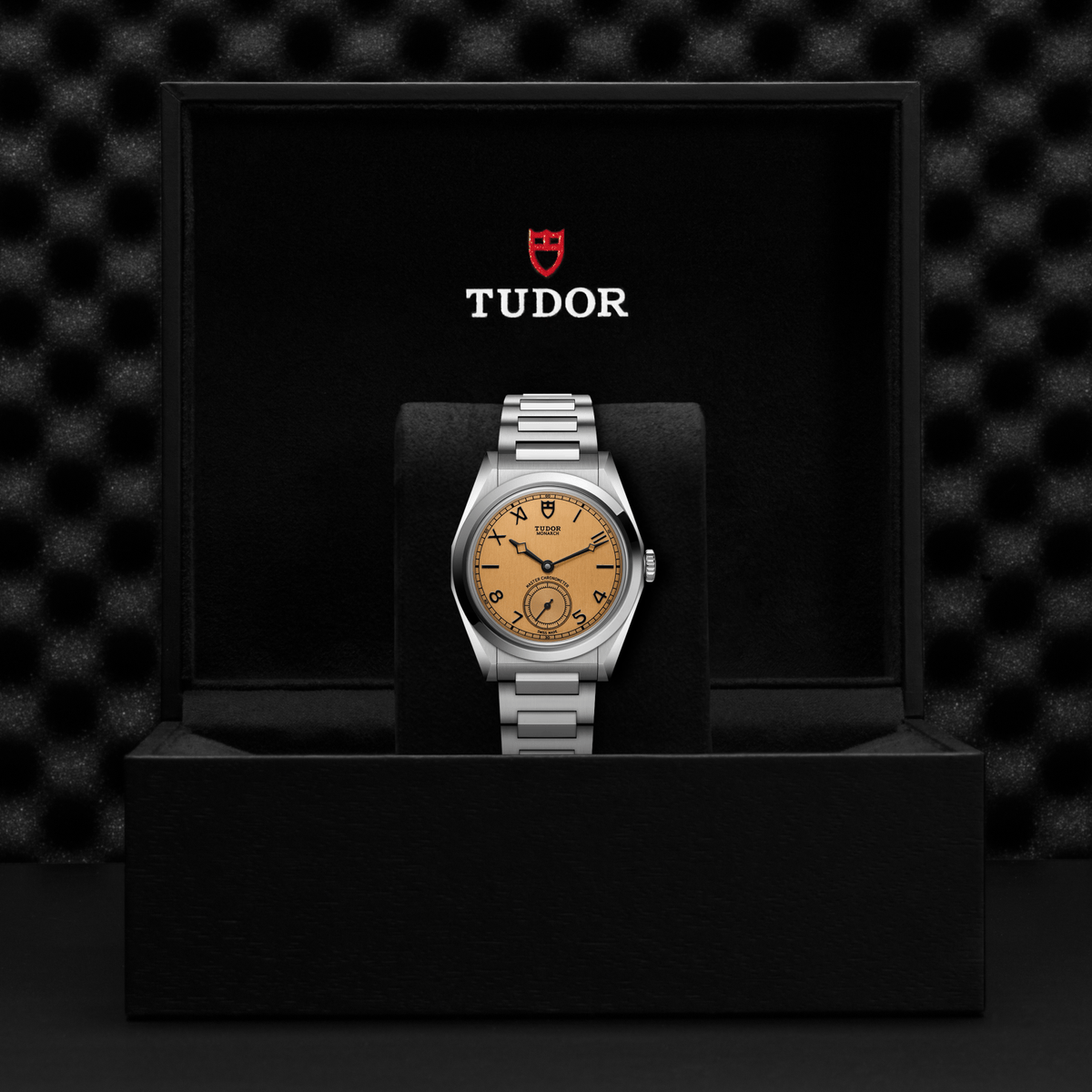 Tudor Monarch — photo 5 of 5