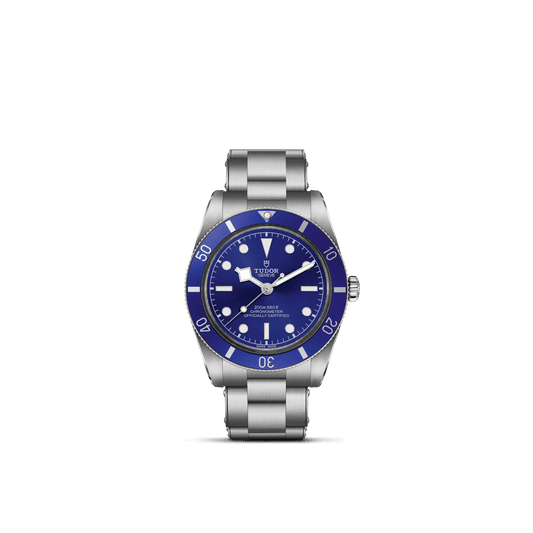 Tudor Black Bay 54 — photo 1 of 5