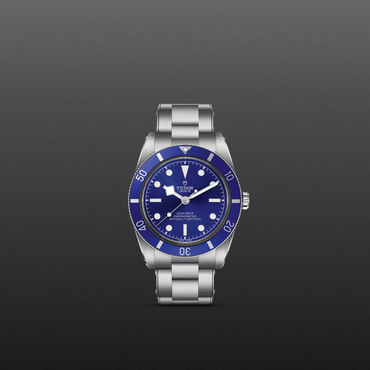 Tudor Black Bay 54 — photo 2 of 5