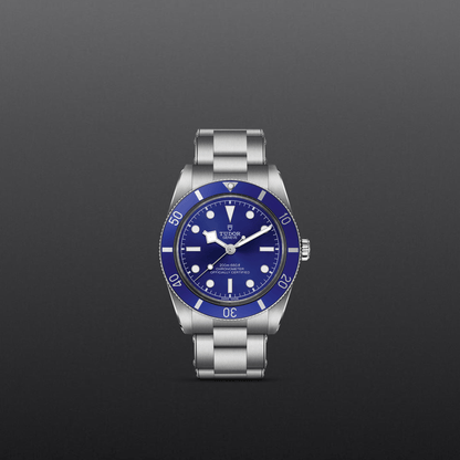 Tudor Black Bay 54 — photo 2 of 5