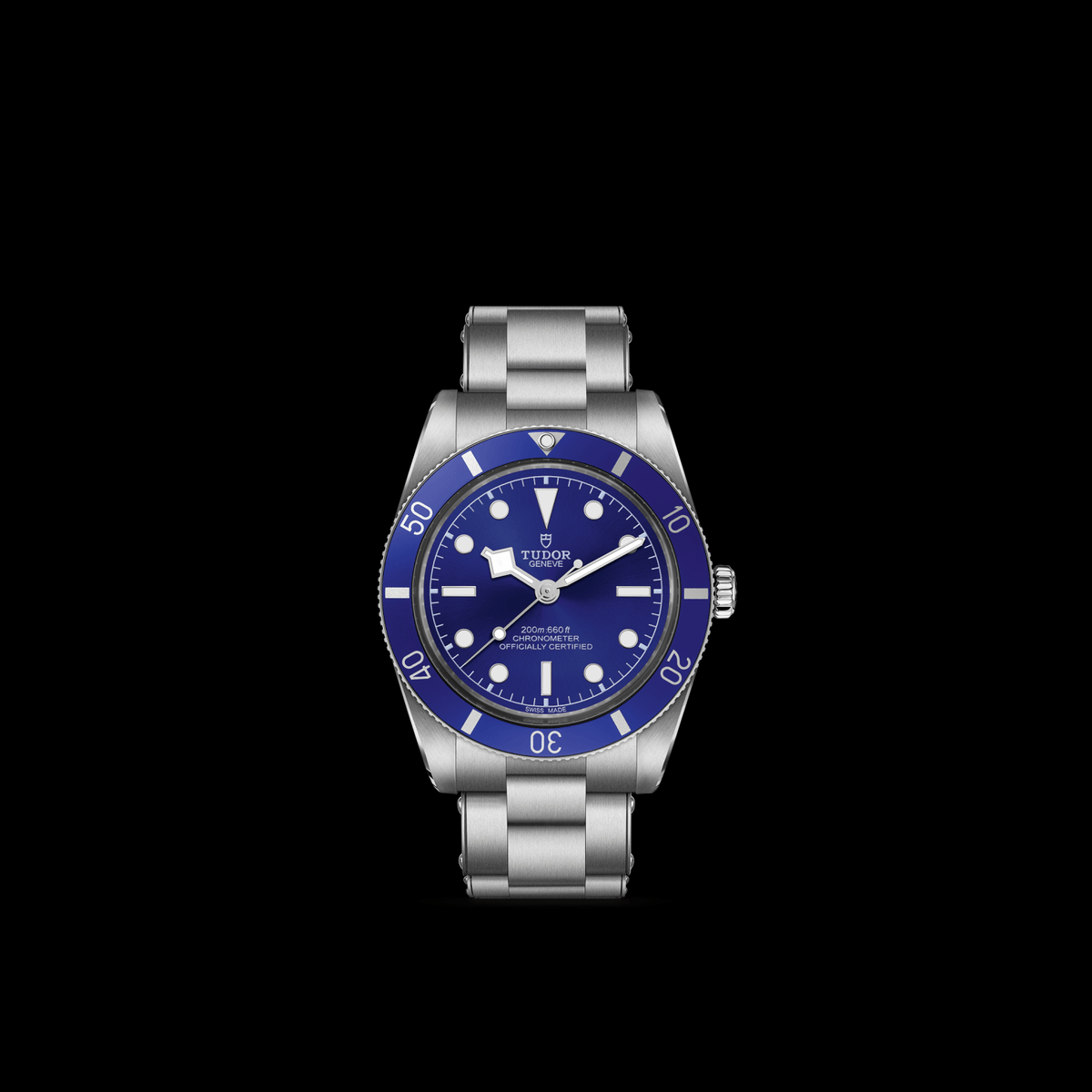 Tudor Black Bay 54 — photo 3 of 5